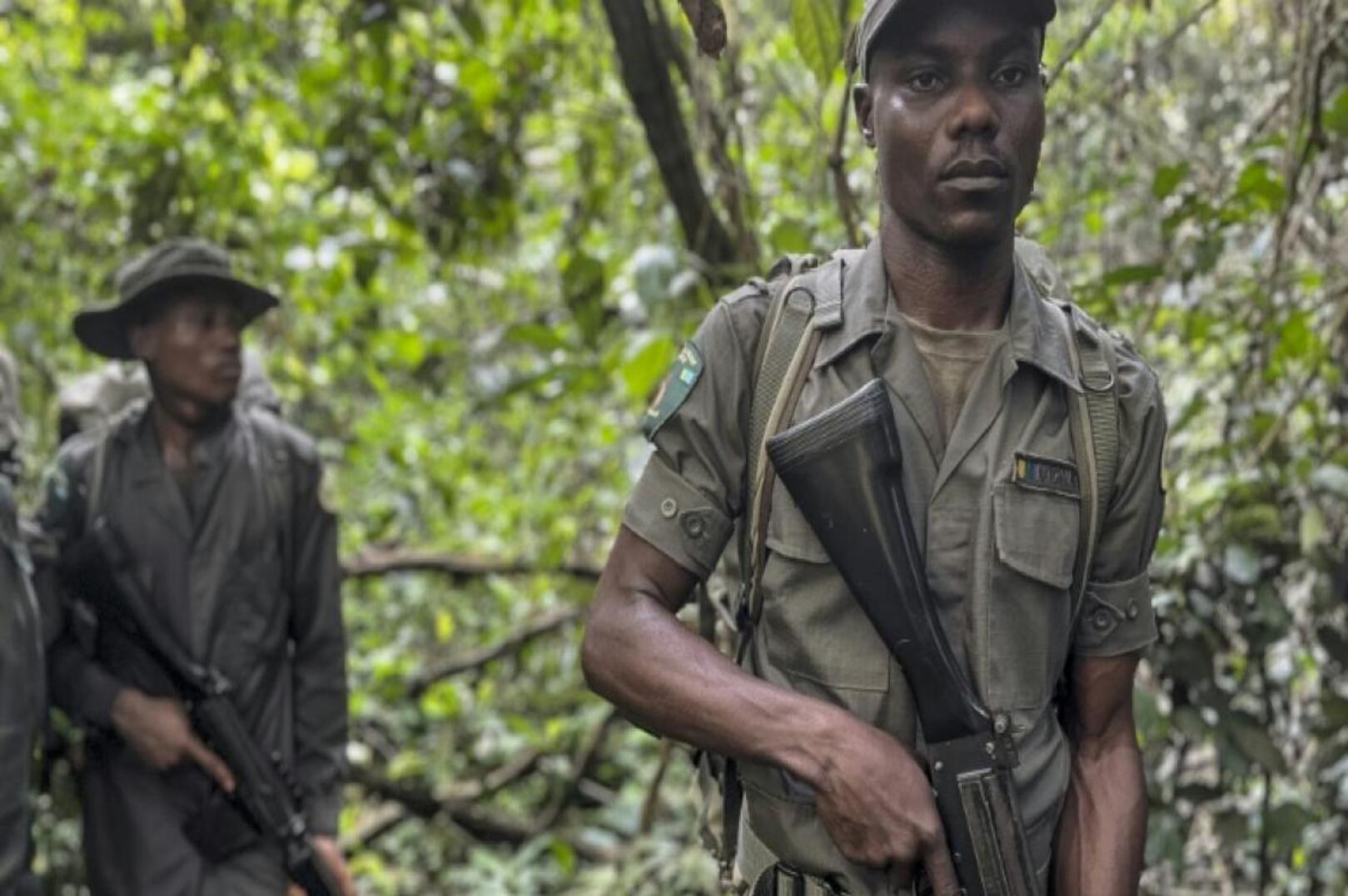 Nigeria: Former Poachers Become Forest Rangers to Protect Wildlife